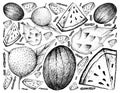 Hand Drawn of Watermelon, Dragon Fruit and Grapefruit Background