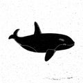 Hand drawn Whale Royalty Free Stock Photo