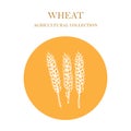 Hand drawn wheat ears sketch Royalty Free Stock Photo