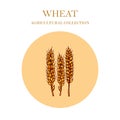 Hand drawn wheat ears sketch Royalty Free Stock Photo