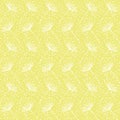 Vector Hand drawn white dandelion on yellow background repeat seamless pattern