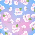 Hand drawn white flowers sakura blossom peach plant banner illustration, blue pink gradient vector seamless background Royalty Free Stock Photo