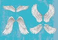 Hand drawn white wings