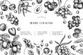 Hand drawn wild berry. Cherry, gooseberry, cranberry, raspberry, black currant, plum, rosehip, guelder rose, sea buckthorn, Royalty Free Stock Photo