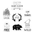 Hand drawn wild design elements. Forest silhouettes.