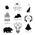 Hand drawn wild design elements. Forest silhouettes.