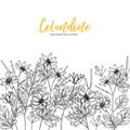 Hand drawn wild hay flowers. Celandine flower. Medical herb. Vintage engraved art. Border composition. Good for Royalty Free Stock Photo