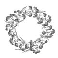 Hand drawn wild hay flowers. Yarrow milfoil weed. Medical herb. Vintage engraved art. Round wreath composition. For