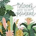 Hand drawn wild tropical house plants. Scandinavian style illustration, home decor. Vector print design.