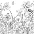 Hand drawn wildflowers, butterfly and bird.