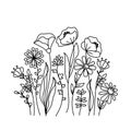 Hand drawn wildflowers meadow. Black and white doodle wild flowers and grass plants. Monochrome floral elements. Royalty Free Stock Photo