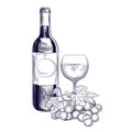 Hand drawn wine bottle, glass and grapes. Engraving style