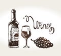 Hand drawn wine bottle, glass and grapes. Vector Royalty Free Stock Photo