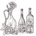 Hand drawn wine decanter with roses, wine bottles, grape vector illustration