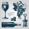 Hand Drawn Wine Elements