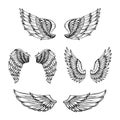 Hand drawn wing. Sketch angel wings with feathers. Vector tattoo design isolated Royalty Free Stock Photo