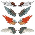 Hand drawn wing vector set.colorful Sticker wing tattoo Royalty Free Stock Photo