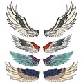 Hand drawn wing vector set.colorful Sticker wing tattoo.