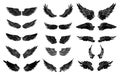 Hand drawn wing vector set. colorful Sticker wing tattoo.