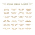 Hand Drawn Wings. Set of design elements. Vector illustration. Royalty Free Stock Photo