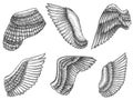 Hand drawn wings. Sketch bird or angel wing with feathers, engraved different heraldic symbols for tattoo or emblem