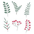 Hand drawn winter leaves and branches. Set of plants with flowers, spruce branches, leaves and berries. Vector illustration Royalty Free Stock Photo
