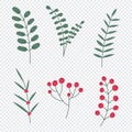 Hand drawn winter leaves and branches. Set of plants with flowers, spruce branches, leaves and berries. Vector illustration Royalty Free Stock Photo