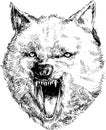 Hand drawn wolf head