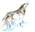 Hand drawn wolf Royalty Free Stock Photo