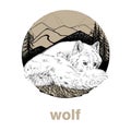 Hand drawn wolf, sketch graphics illustration on white background