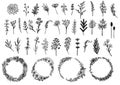 Hand drawn wreaths and wild flowers collection