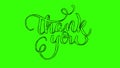 Hand drawn wriggle Thank you text on green background. Calligraphy lettering illustration. Full HD motion graphic