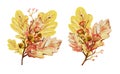 Hand-drawn yellow autumn two vertical bouquets with oak leaves, acorns and berries