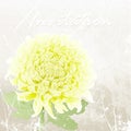 Hand drawn of yellow chrysanthemum. illustration Royalty Free Stock Photo