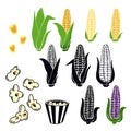 Hand drawn yellow corn cobs with green leaves, grains, popcorn popping, black white corn cobs, strip box package on white backgrou