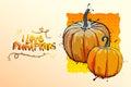 Hand drawn yellow pumpkins vector with lettering, comic or cartoon style Royalty Free Stock Photo