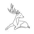Hand drawn young deer in tribal style. Magic vintage vector illustration in black on white. Children's coloring book