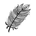 Hand drawn zentangle feather