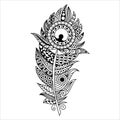 Hand drawn zentangle feather on white background