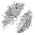 Hand drawn zentangle feather on white background