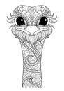 Hand drawn zentangle ostrich Royalty Free Stock Photo