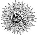 Hand drawn zentangle sunflowers ornament for coloring book