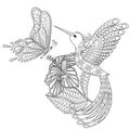 Hand drawn zentangle tribal flying butterfly, Hummingbird in hibiskus for adult anti stress coloring pages, t-shirt print.