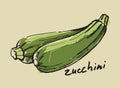 Hand drawn zucchini