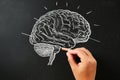 Chalkboard illustration of a brain being drawn by hand, symbolizing learning and creativity Royalty Free Stock Photo