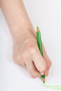 Hand draws by green crayon on sheet of paper