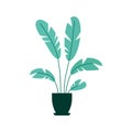 Hand drew Home decoration plant flat design