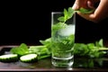 a hand dropping mint leaves into a glass of cucumber water Royalty Free Stock Photo