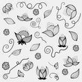 Hand drow design elements flowers - vector set