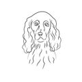 The hand drown head of the cocker spaniel Royalty Free Stock Photo